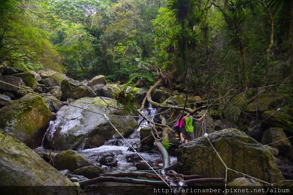 DSC_7603-21.jpg DSC_7603-21.jpg