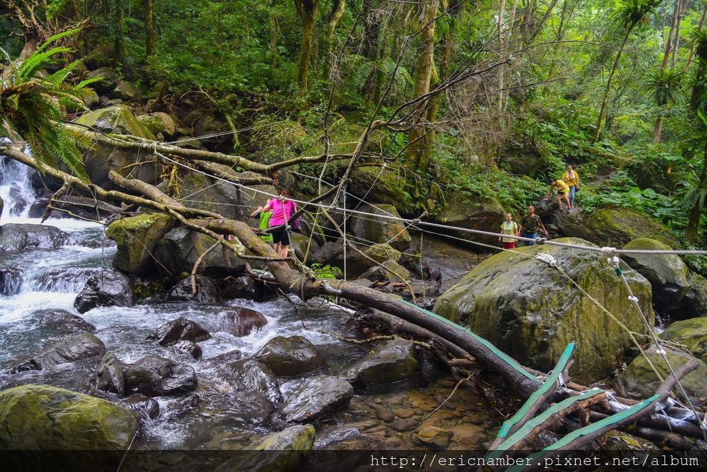 DSC_7604-22.jpg DSC_7604-22.jpg