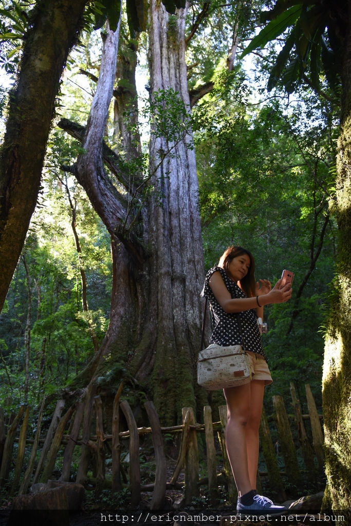 DSC_7984-168-15.jpg DSC_7984-168-15.jpg