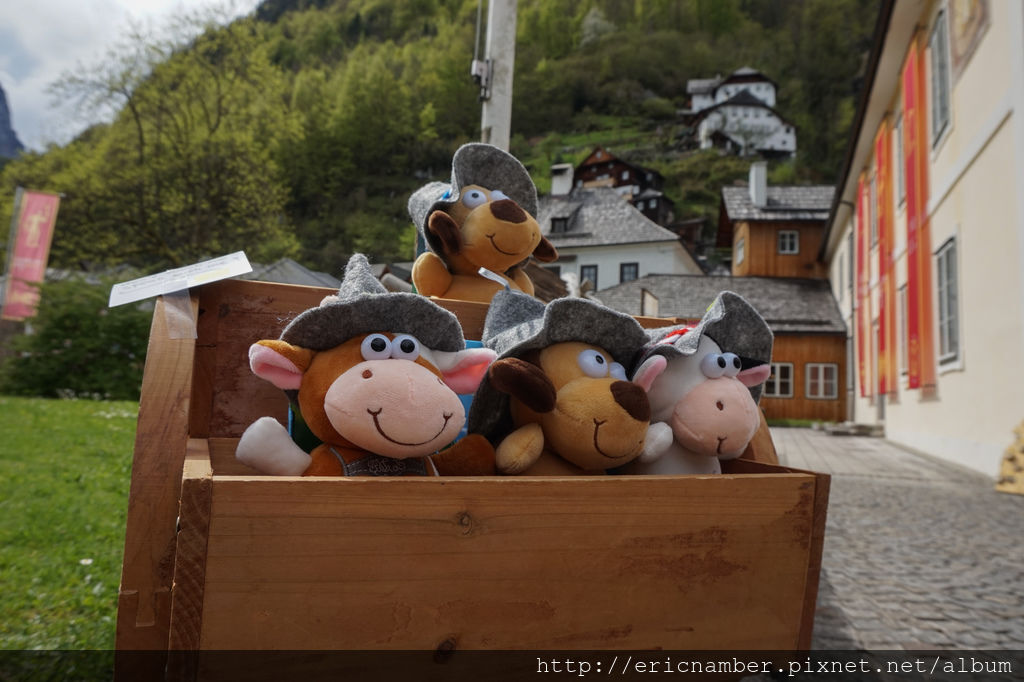 DSC04108.jpg DSC04108.jpg