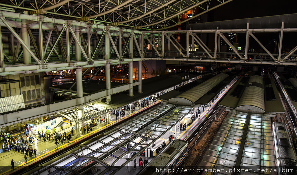 DSC_2481.jpg DSC_2481.jpg