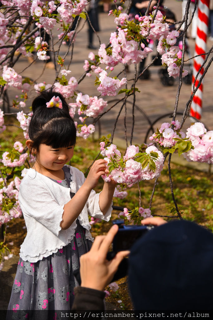 DSC_3080.jpg DSC_3080.jpg