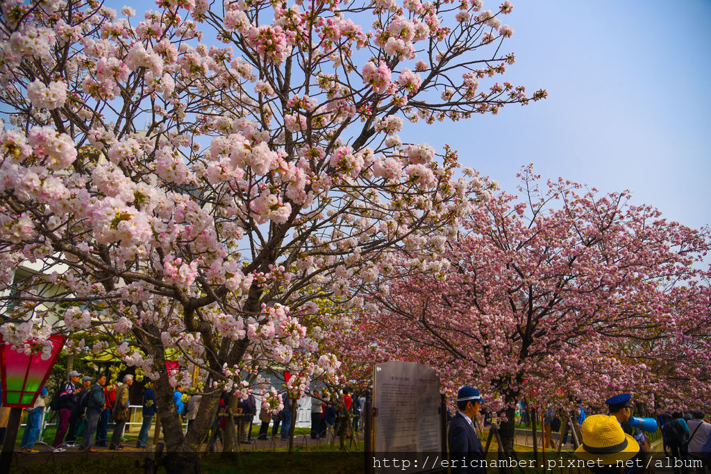 DSC_3033.jpg DSC_3033.jpg