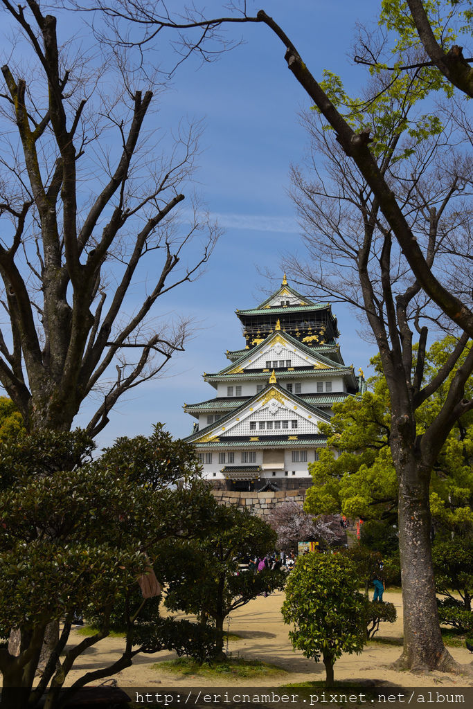 DSC_3352.jpg DSC_3352.jpg