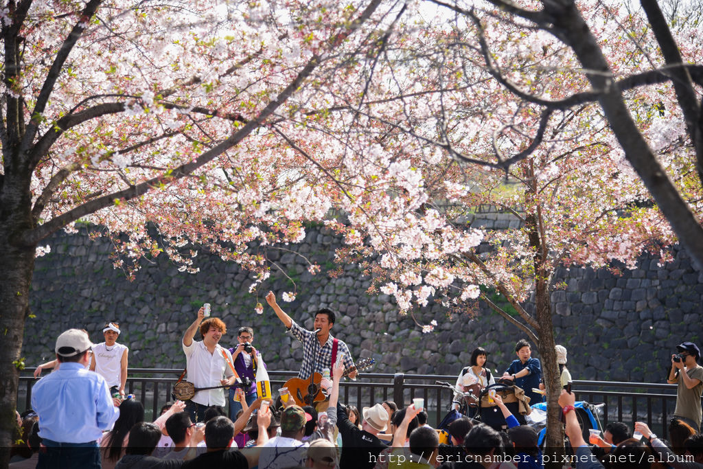 DSC_3431.jpg DSC_3431.jpg