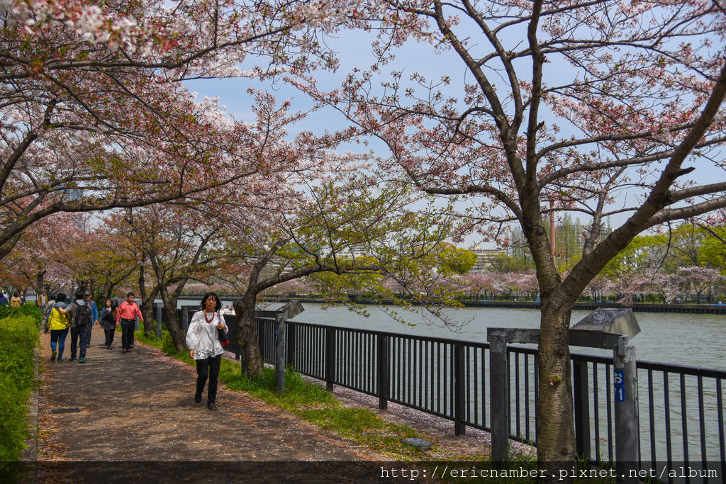 DSC_3230.jpg DSC_3230.jpg