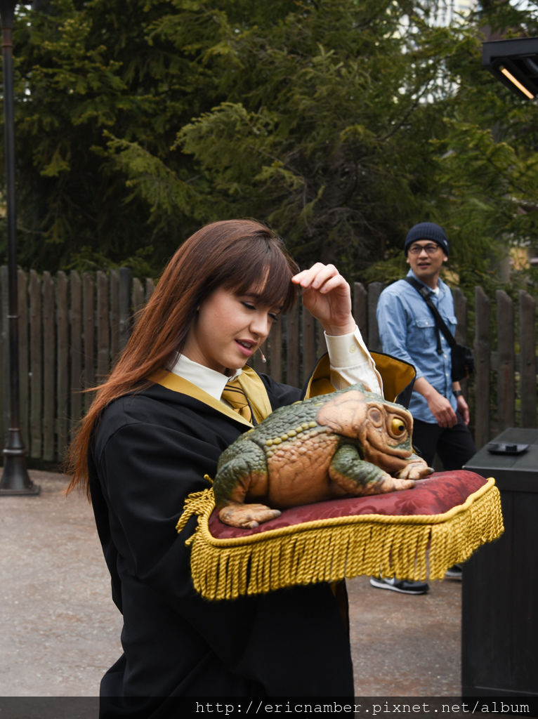 DSC_2586.jpg DSC_2586.jpg