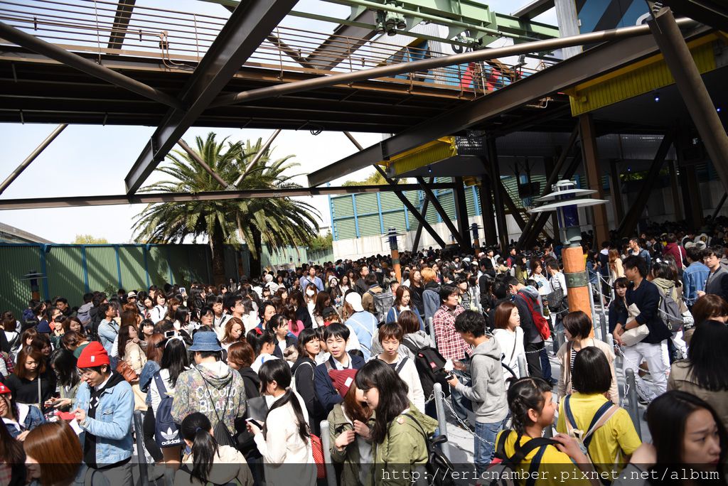 DSC_2523.JPG DSC_2523.JPG