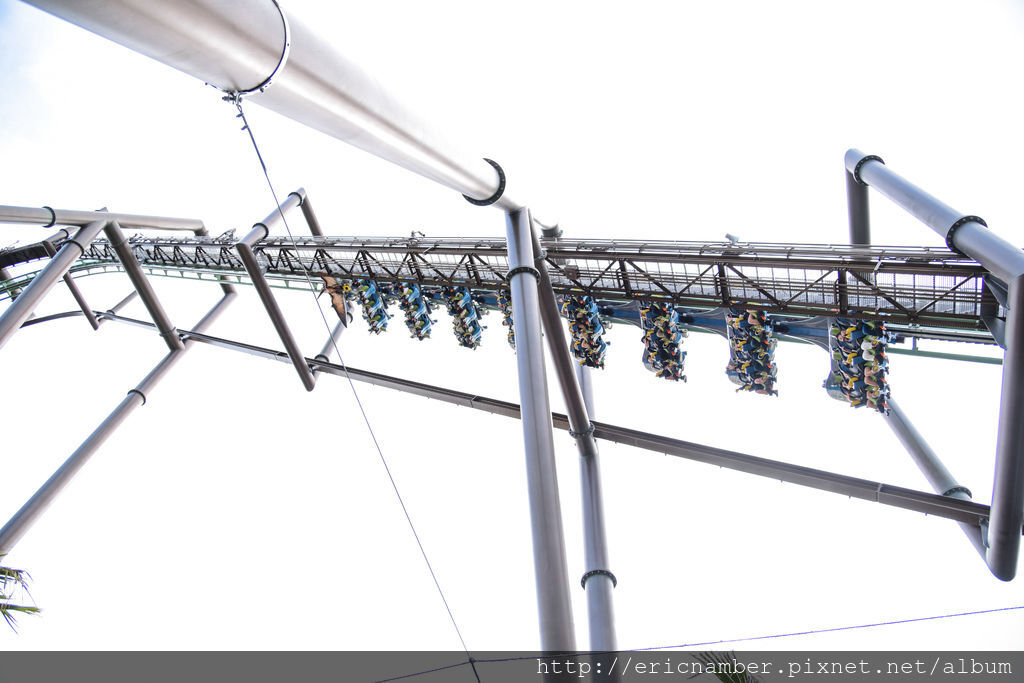 DSC_2518-1.jpg DSC_2518-1.jpg