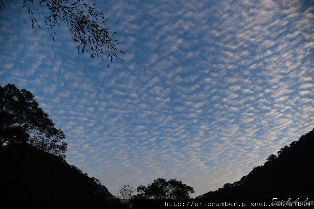 DSC_9788.jpg DSC_9788.jpg