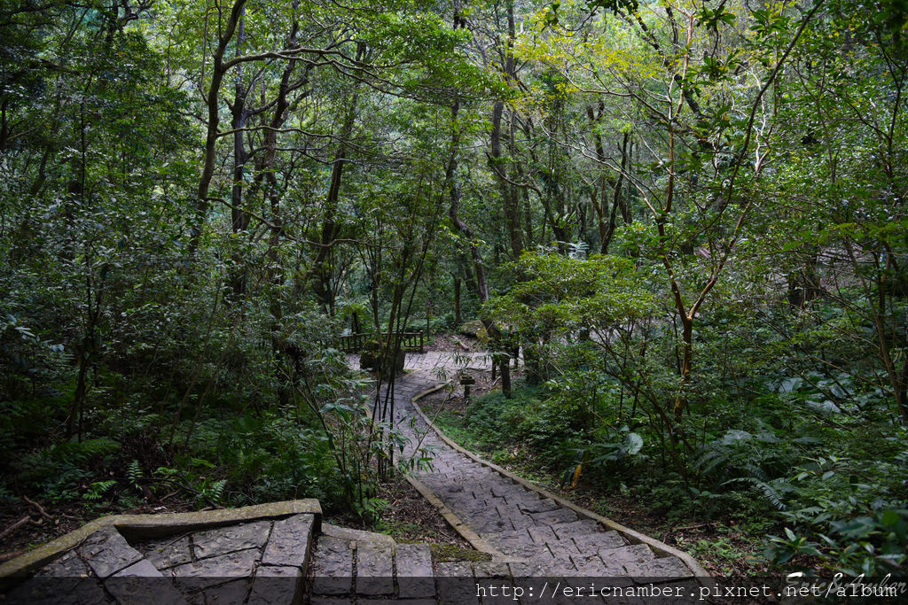 DSC_9792.jpg DSC_9792.jpg