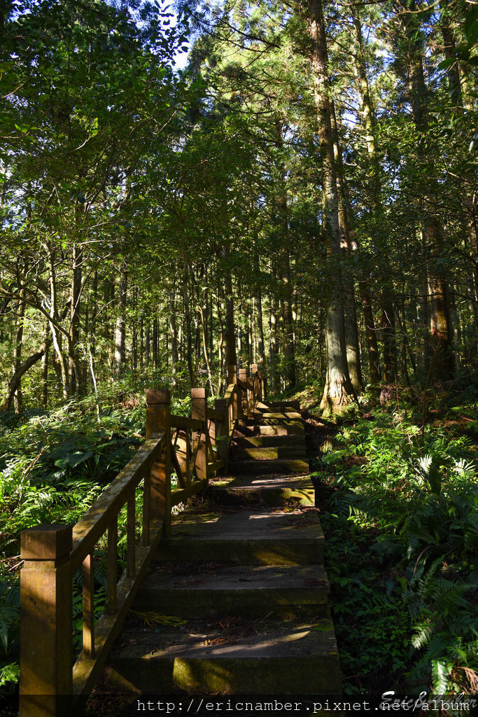 DSC_9797.jpg DSC_9797.jpg