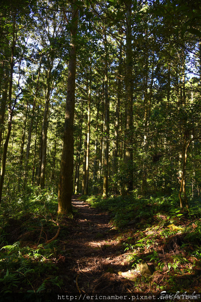 DSC_9800.jpg DSC_9800.jpg