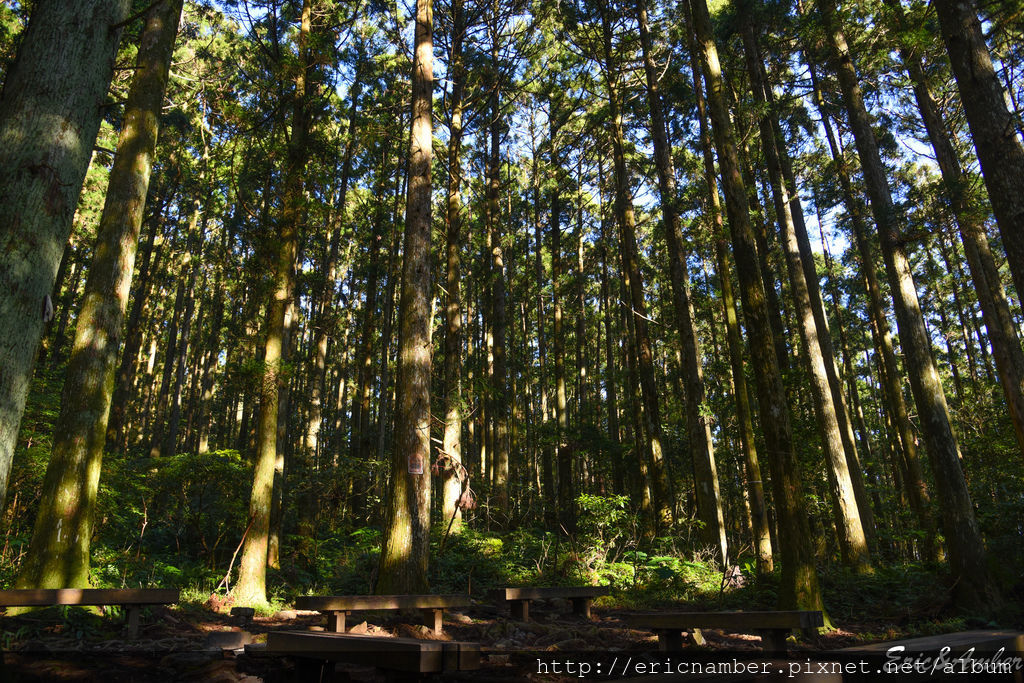 DSC_9802.jpg DSC_9802.jpg