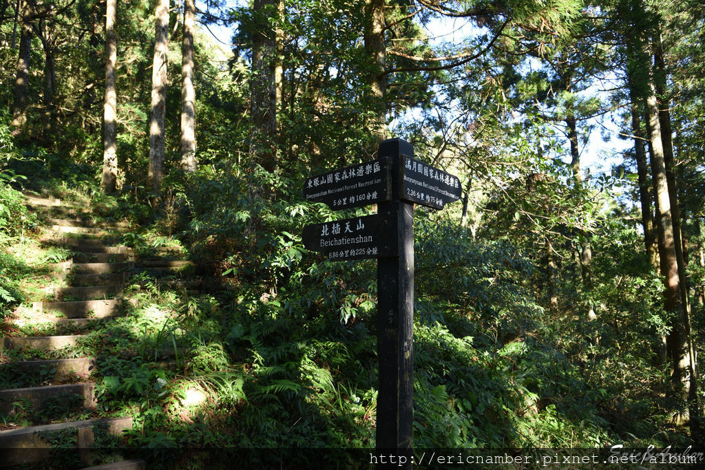 DSC_9803.jpg DSC_9803.jpg