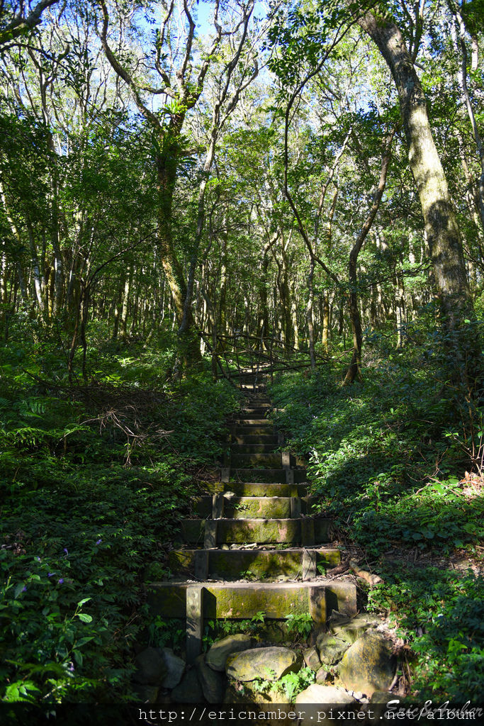 DSC_9808.jpg DSC_9808.jpg