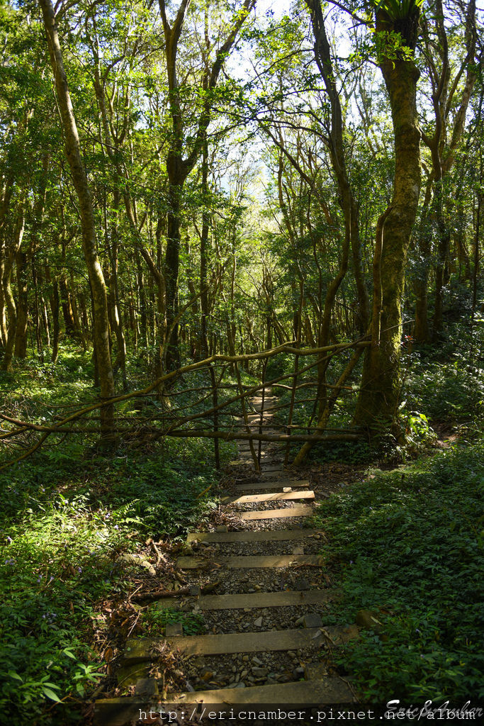 DSC_9809.jpg DSC_9809.jpg