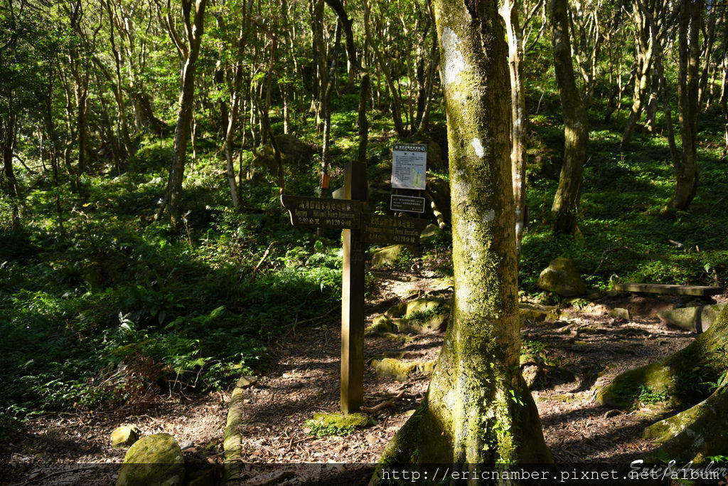 DSC_9811.jpg DSC_9811.jpg