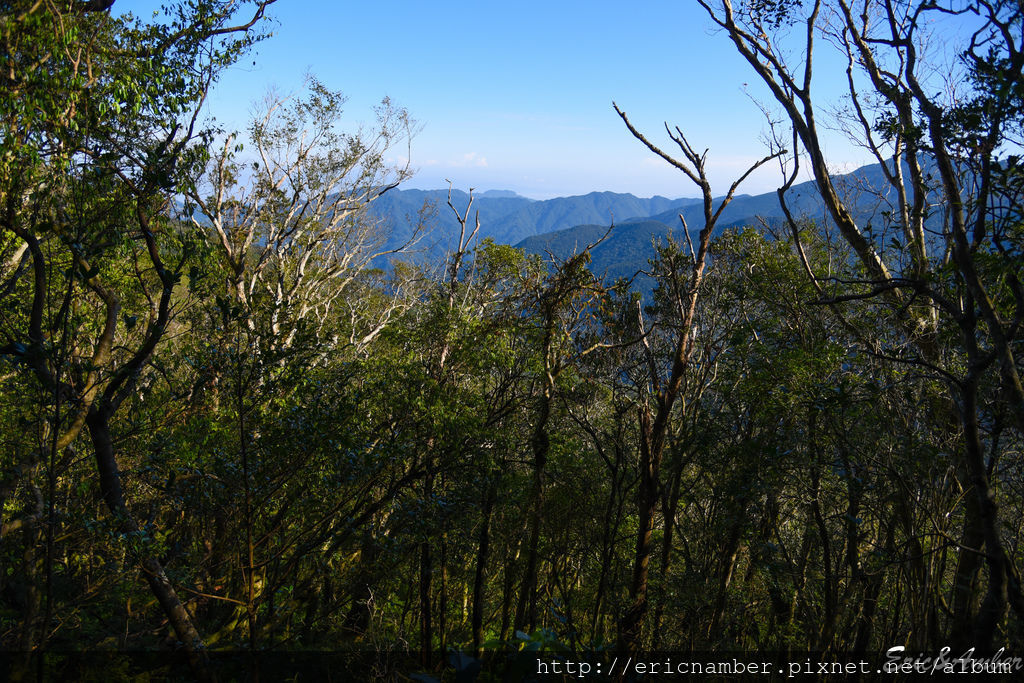 DSC_9814.jpg DSC_9814.jpg