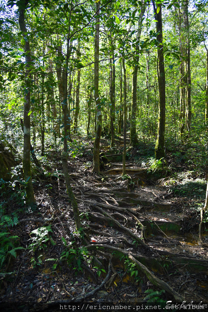 DSC_9816.jpg DSC_9816.jpg