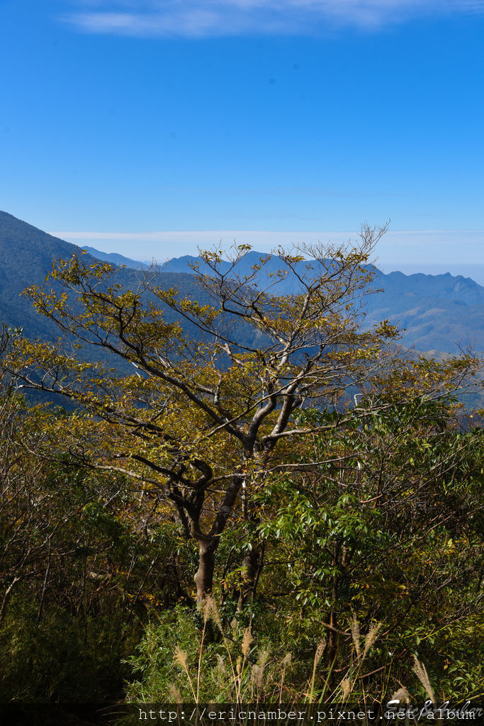 DSC_9826.jpg DSC_9826.jpg