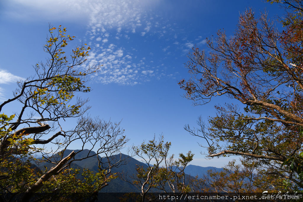 DSC_9828.jpg DSC_9828.jpg