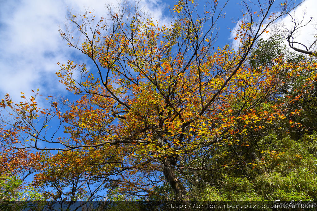 DSC_9844.jpg DSC_9844.jpg