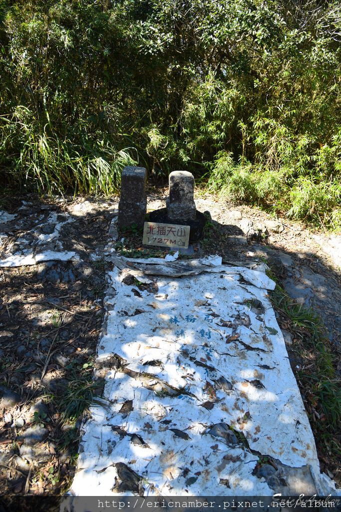 DSC_9831.jpg DSC_9831.jpg