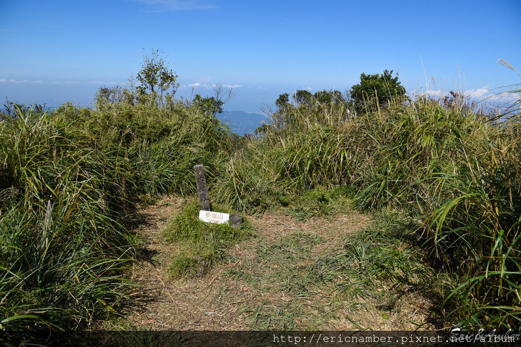 DSC_9837.jpg DSC_9837.jpg