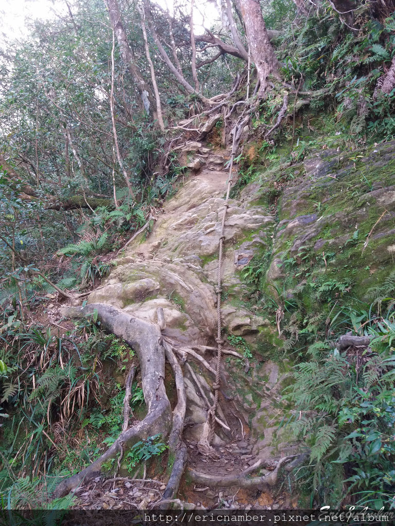 20161106_130025.jpg 20161106_130025.jpg