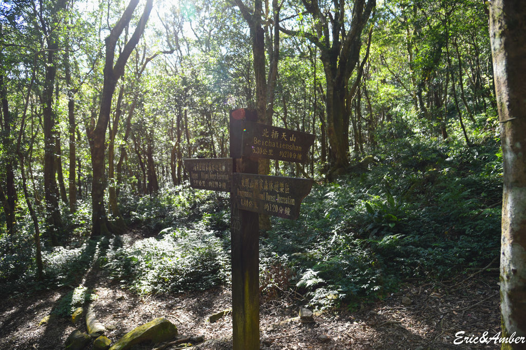 DSC_9812.jpg DSC_9812.jpg