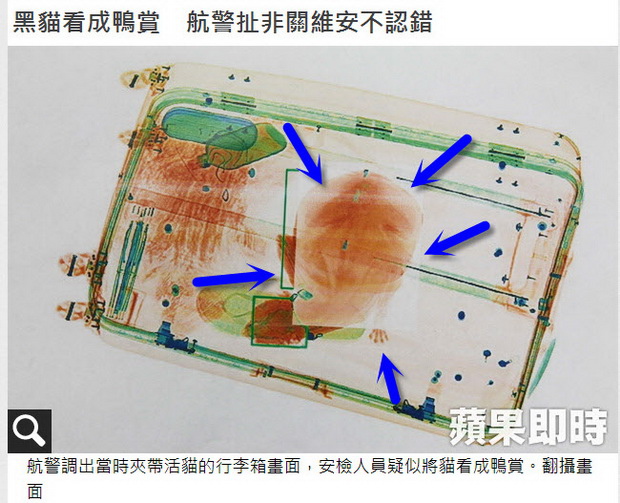 黑貓看成鴨賞　航警扯非關維安不認錯-2014.05.26-02.jpg