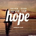 Never-ever give up hope