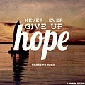 Never-ever give up hope 希10-23.jpg
