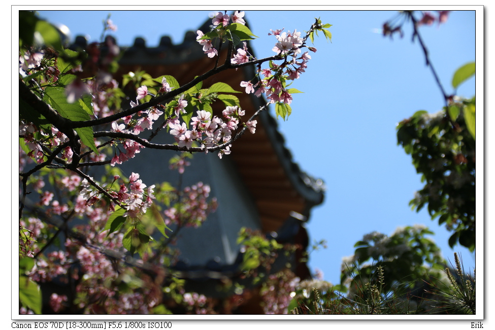 東方寺2.jpg