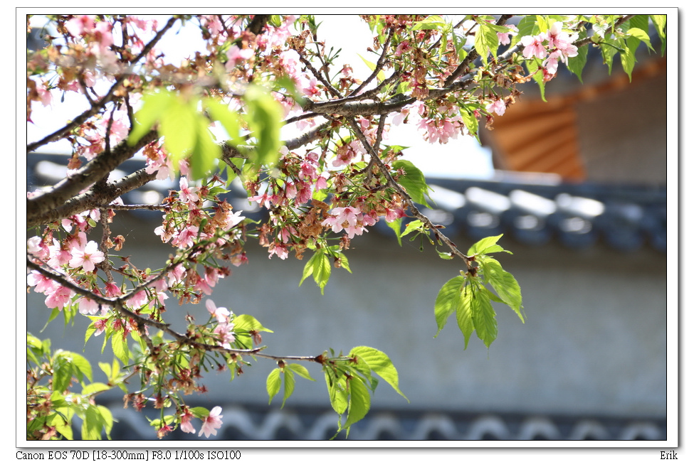 東方寺7.jpg