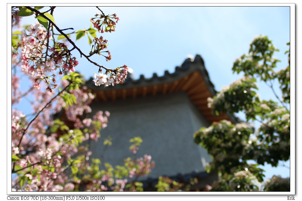 東方寺6.jpg