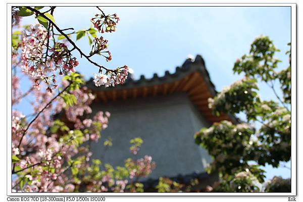 東方寺6.jpg