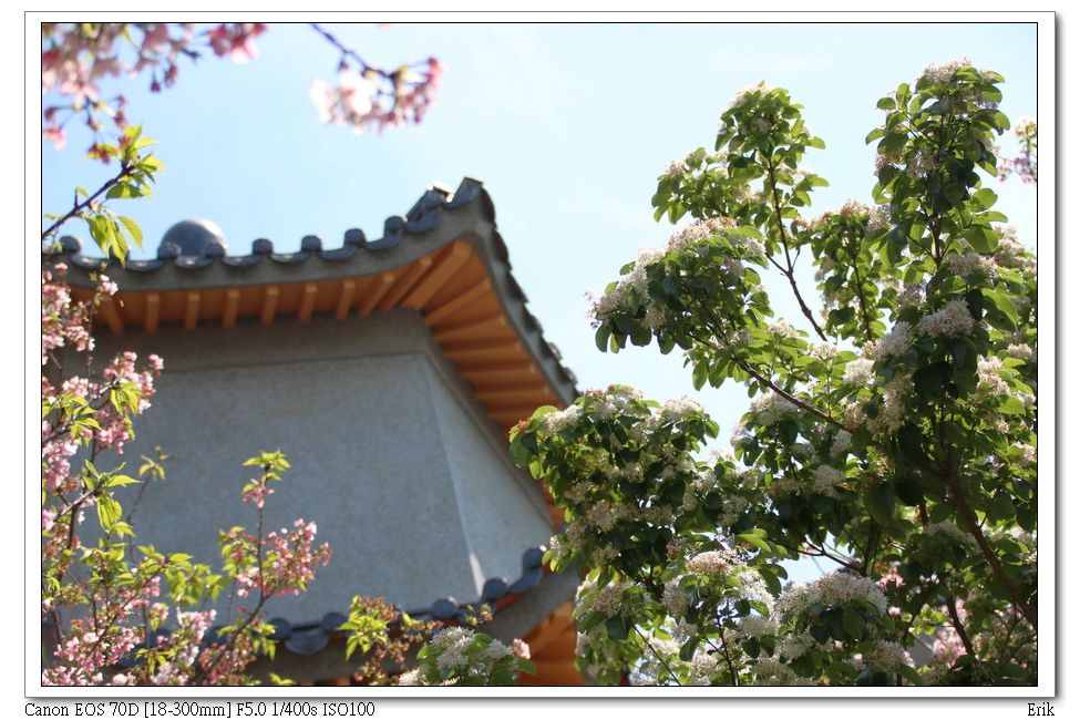 東方寺8.jpg