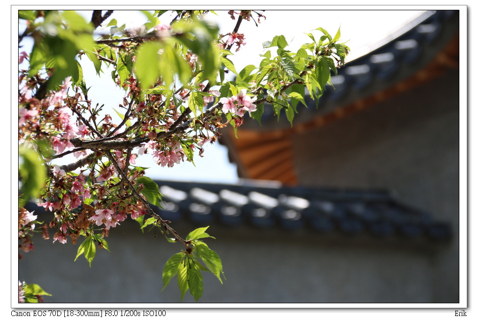 東方寺17.jpg