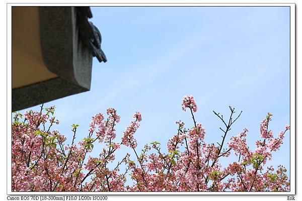 東方寺23.jpg