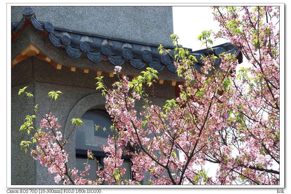 東方寺25.jpg