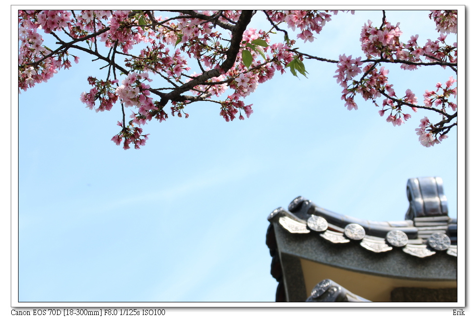 東方寺29.jpg