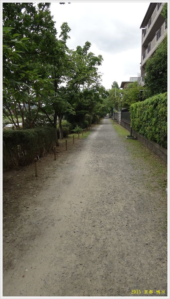 京都鴨川029.JPG 京都鴨川029.JPG