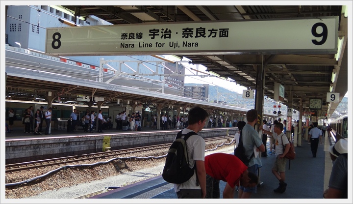 20150714奈良公園001.JPG 20150714奈良公園001.JPG