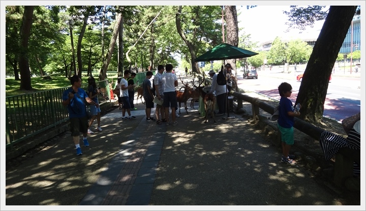 20150714奈良公園021.JPG 20150714奈良公園021.JPG