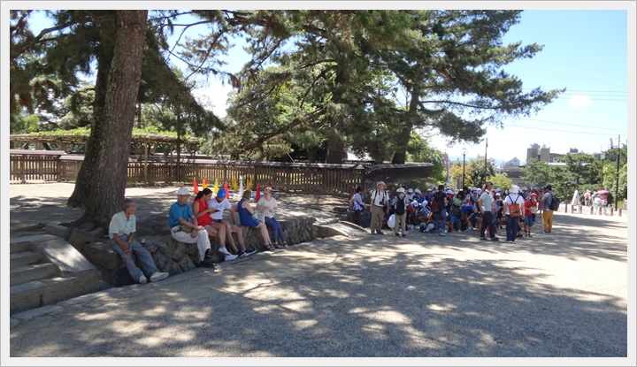 20150714奈良公園026.JPG 20150714奈良公園026.JPG