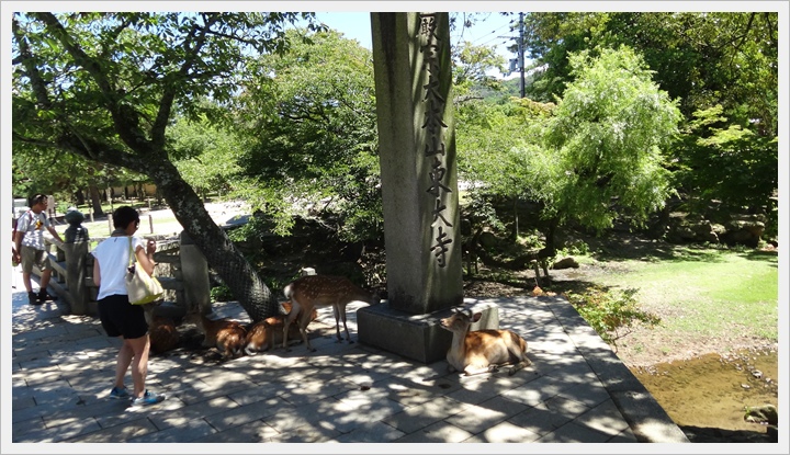 20150714奈良公園044.JPG 20150714奈良公園044.JPG