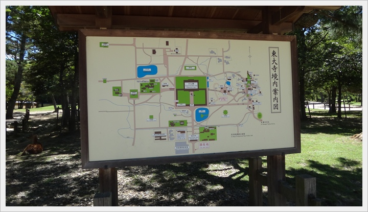 20150714奈良公園051.JPG 20150714奈良公園051.JPG