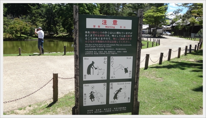 20150714奈良公園060.JPG 20150714奈良公園060.JPG